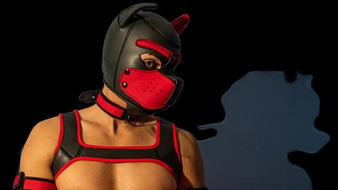 a_pup_a_day OnlyFans Leaks (480 Photos and 155 Videos) 

 picture 2