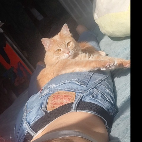 ababyj OnlyFans Leaked (9 Photos and 1 Videos) 

 picture 2