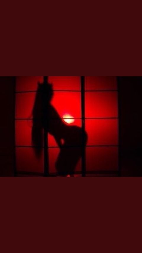 Onlyfans leaks alearrambide98 

 picture 2