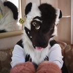 all.the.fluffies (Fluffies~) OnlyFans Leaked Content 

 picture 1