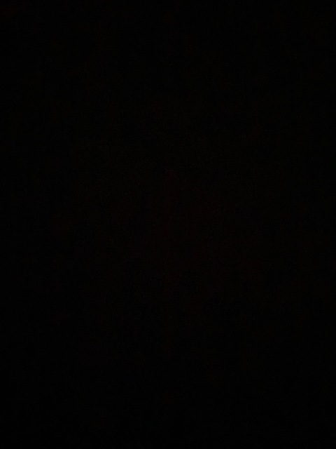 amykouimanis OnlyFans Leaked 

 picture 2