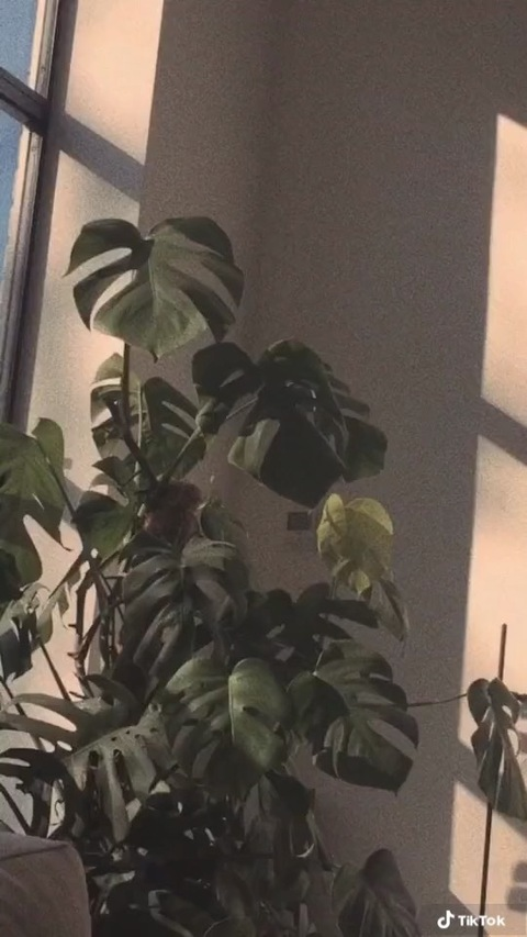 View anabanana1997 (āna) OnlyFans 4 Photos and 2 Videos gallery 

 picture 2