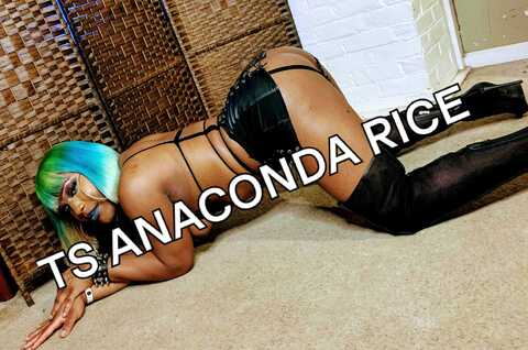 anconda_rice23 OnlyFans Leak (50 Photos and 70 Videos) 

 picture 2