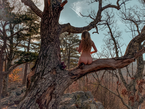 appalachianqueen (Appalachian Queen 🍄) free OnlyFans Leaks 

 picture 2