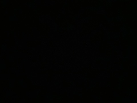 arinaorlov OnlyFans Leaked Photos and Videos 

 picture 2