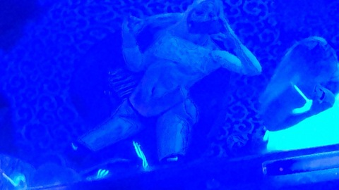 View artemiahellebore OnlyFans content for free 

 picture 2