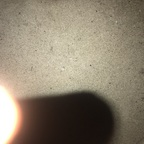 asianspade OnlyFans Leaked Photos and Videos 

 picture 1