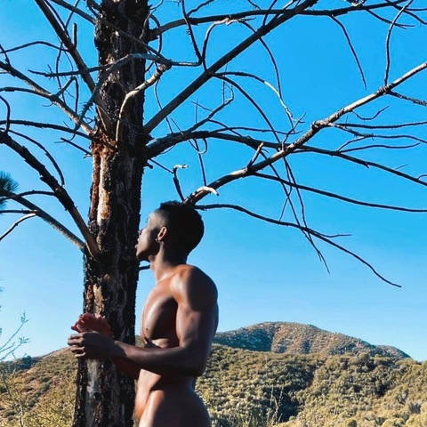 aslamwhoo (Aslam) OnlyFans Leaked Content 

 picture 2