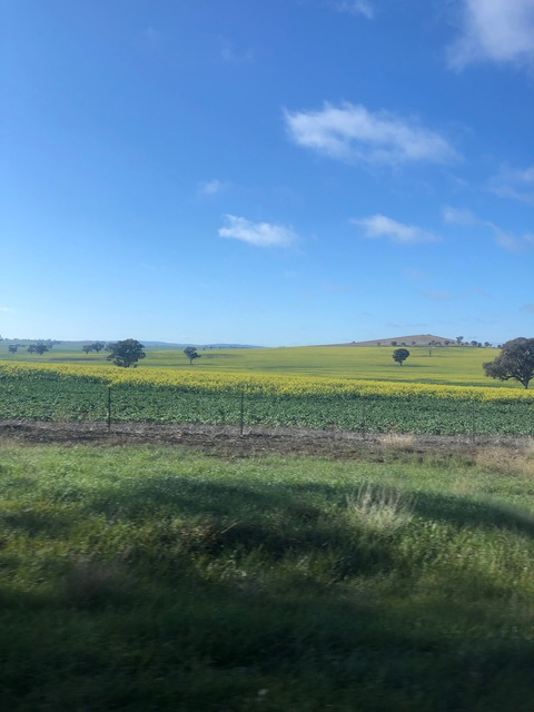 Get Free access to ausssiefarmer (Aussie farmer) Leak OnlyFans 

 picture 2