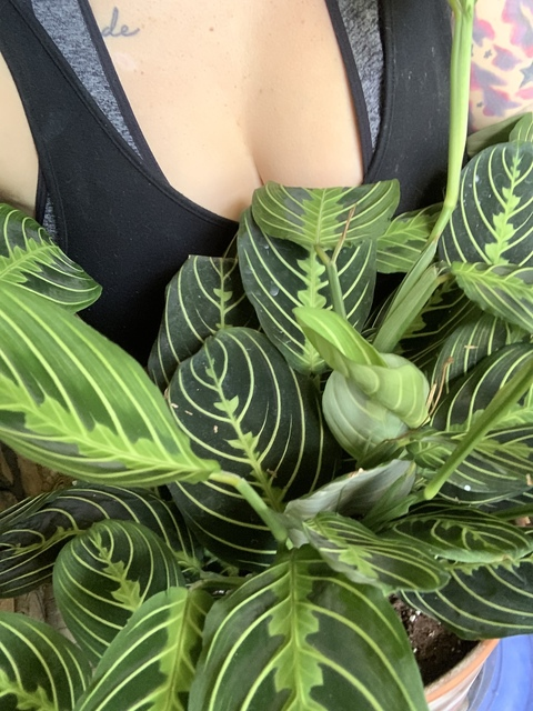 View autumnnorth1 OnlyFans content for free 

 picture 2