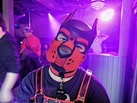 View axelafterdark (Pup Axel) OnlyFans 143 Photos and 23 Videos gallery 

 picture 2