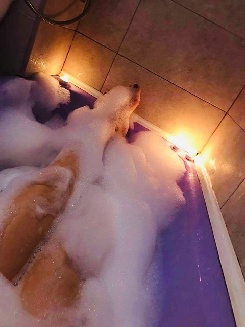 @babygirlm03 leak Onlyfans videos free 

 picture 2