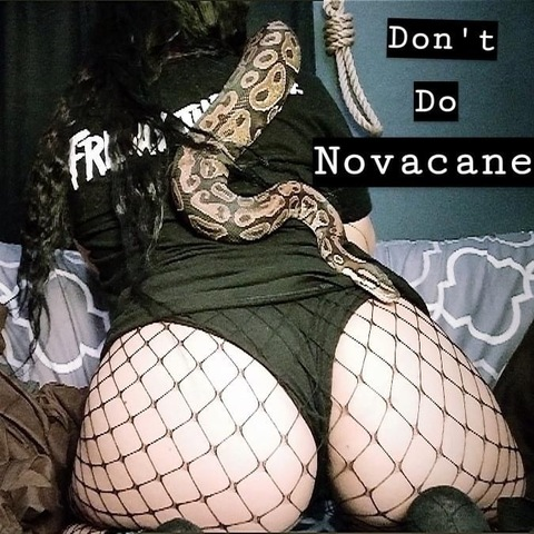 babygirlnovacane OnlyFans Leaked (8 Photos and 7 Videos) 

 picture 2