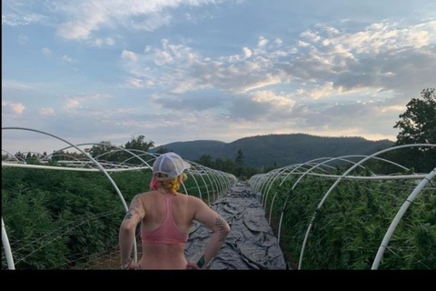 Onlyfans leaks babyxjoker 

 picture 2
