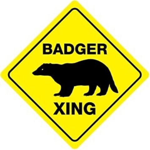 Download badgertexas OnlyFans videos and photos free 

 picture 2