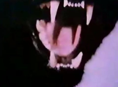 baesavage OnlyFans Leaked Photos and Videos 

 picture 2