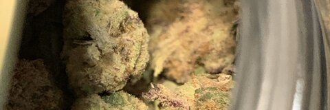 bassjoker420 (Bassjoker420) OnlyFans Leaked Pictures & Videos 

 picture 2