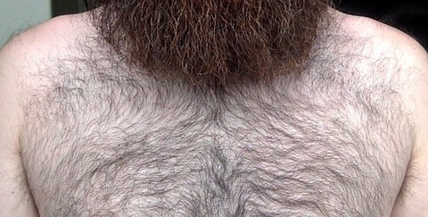 View beard_doe OnlyFans content for free 

 picture 2