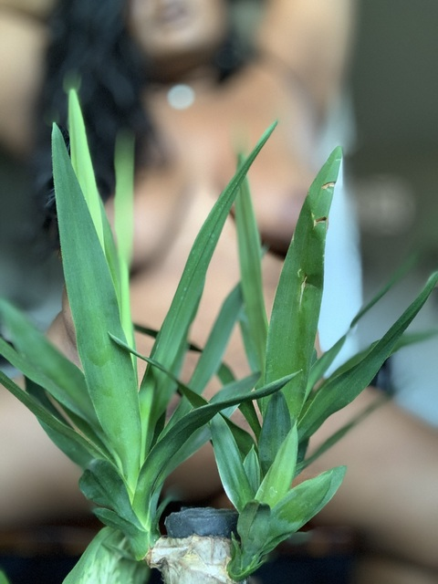 Onlyfans leaks bengalqueen 

 picture 2