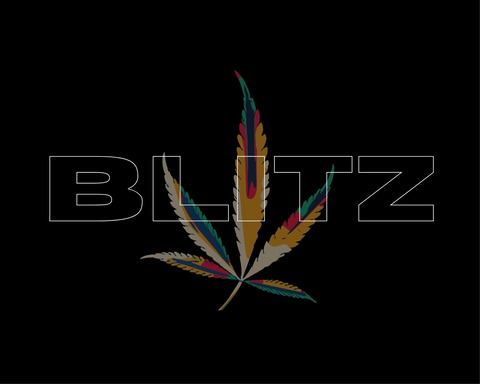 berblitz (💋BLITZ💨) free OnlyFans Leaks 

 picture 2
