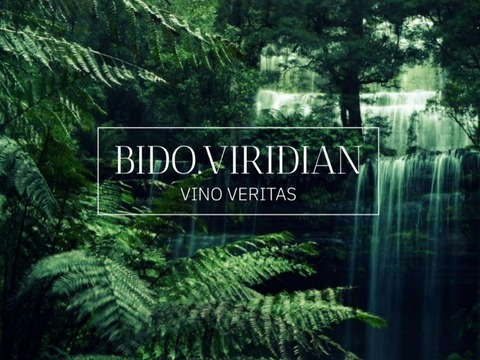 bido.viridian (bido.viridian) OnlyFans Leaked Content 

 picture 2