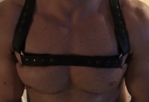 Download bigdickalphabull OnlyFans content for free 

 picture 2