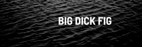 View bigdickfig OnlyFans content for free 

 picture 2