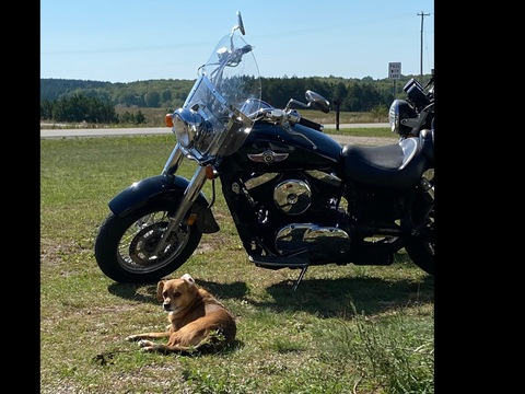 bikerandhisollady leaked gallery photo 2
