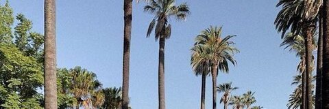 billielish OnlyFans Leaks (0 Photos and 0 Videos) 

 picture 2