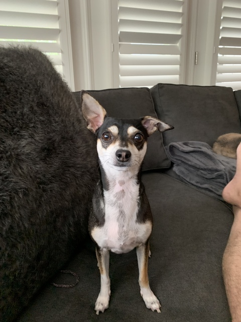 Onlyfans leak binks 

 picture 2