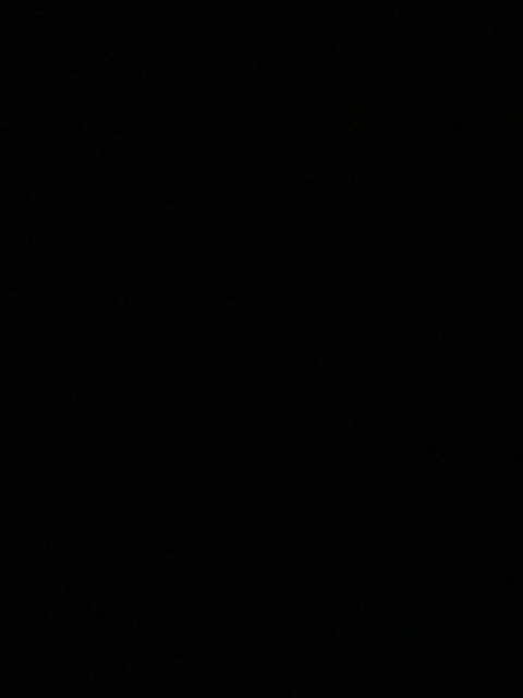 blueversion leaked gallery photo 2