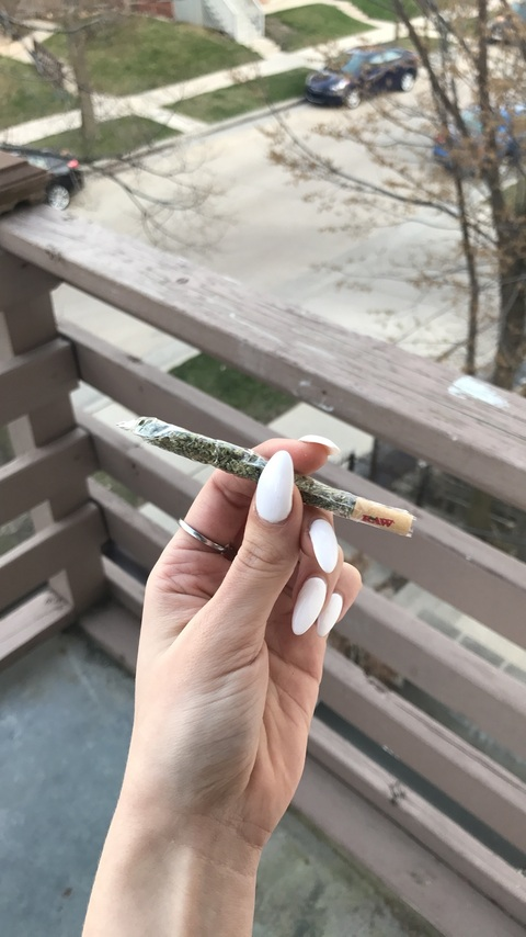bluntqueen (Alexis) free OnlyFans Leaked Pictures & Videos 

 picture 2
