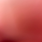 bob22232w OnlyFans Leak (270 Photos and 126 Videos) 

 picture 1