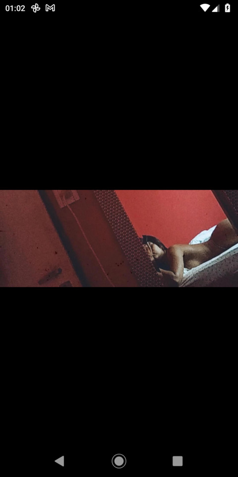 br_pamela leaked gallery photo 2
