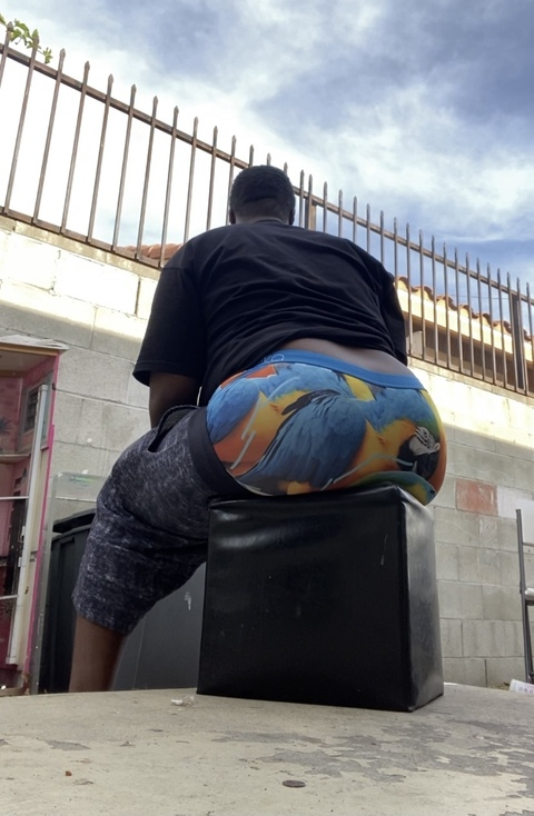 bsaggin OnlyFans Leak (1057 Photos and 224 Videos) 

 picture 2