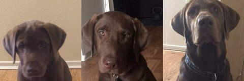 View Buddha The Lab (buddhamac) OnlyFans 28 Photos and 18 Videos for free 

 picture 2