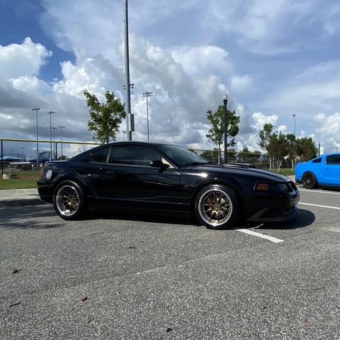Download bullitt3673 OnlyFans content free 

 picture 2