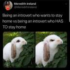 View bunnybums (bunnybums) OnlyFans 0 Photos and 0 Videos leaked 

 picture 1