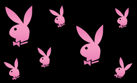 View bunnysister OnlyFans videos and photos for free 

 picture 2