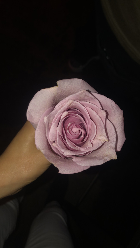 catalina_babyy (catalina) OnlyFans Leaked Content 

 picture 2
