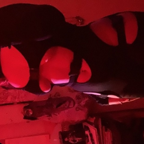 View ch4mele0n (Cameron) OnlyFans 317 Photos and 69 Videos leaks 

 picture 2