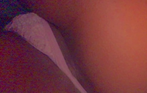 cherokeeslimm (QueenOfSeduction&amp;Fantasy) OnlyFans Leaked Videos and Pictures 

 picture 2