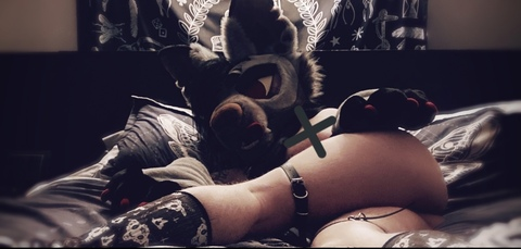View chihuahua OnlyFans content for free 

 picture 2