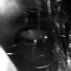 cl0wn OnlyFans Leak (0 Photos and 0 Videos)
picture 1
