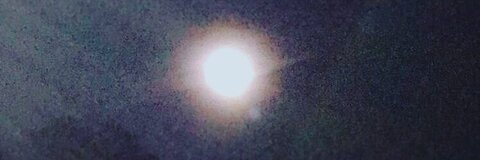 cl0wn OnlyFans Leak (0 Photos and 0 Videos) 

 picture 2