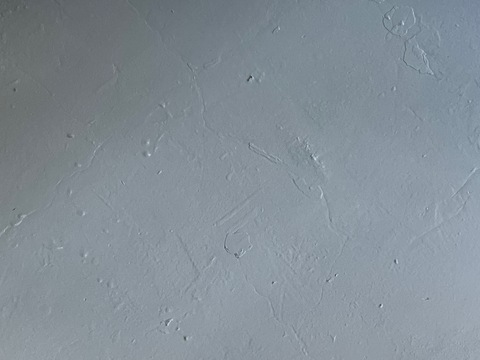 View concchita (2000) OnlyFans 14 Photos and 7 Videos leaks 

 picture 2