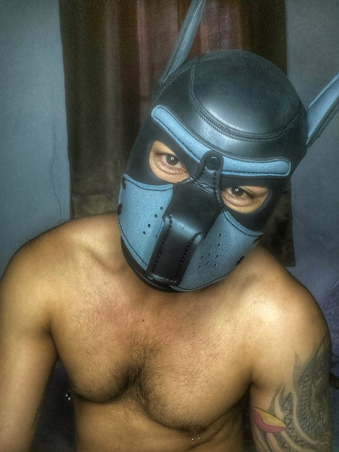 Get Free access to @cool_bkk Leaks OnlyFans 

 picture 2