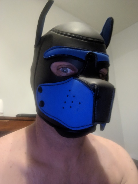 crmonkey OnlyFans Leak (9 Photos and 4 Videos) 

 picture 2