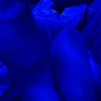 View d3str0ym3n (mei) OnlyFans 1 Photos and 1 Videos leaked 

 picture 1