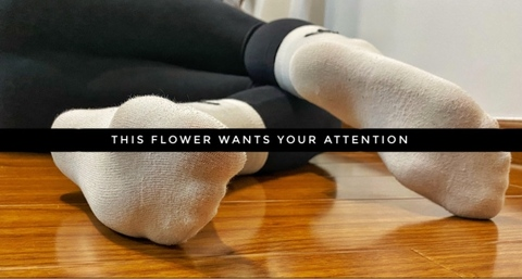 Onlyfans free content daisysocksfeet 

 picture 2